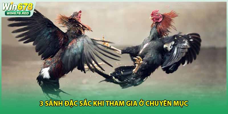 3 sảnh đặc sắc khi tham gia ở chuyên mục