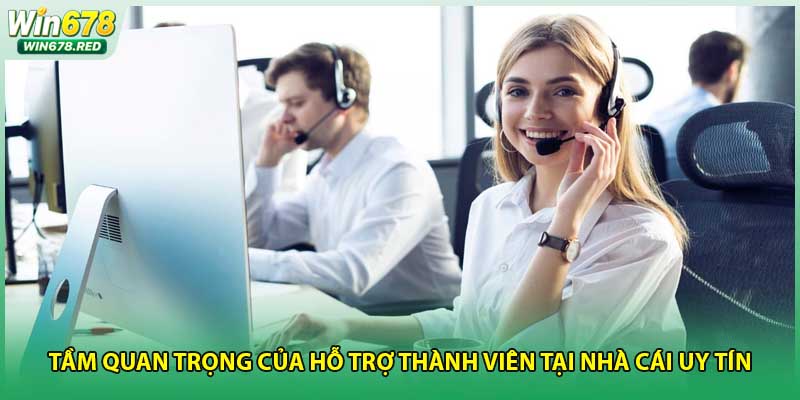 Tầm quan trọng của hỗ trợ thành viên tại nhà cái uy tín